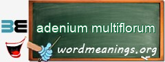 WordMeaning blackboard for adenium multiflorum